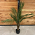 Areca artificial ocho hojas