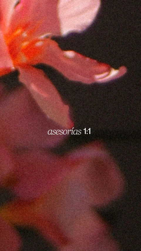 ASESORÍAS 1:1