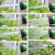 Mangueira Jardim Mágica Flexível - comprar online