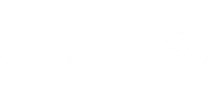 Baila Nina Store