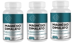 02 Ponte Magnésio Dimalato 60 cápsulas 600mg - comprar online