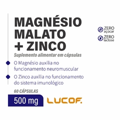 MAGNÉSIO MALATO + ZINCO - 60 Cápsulas 500mg - comprar online