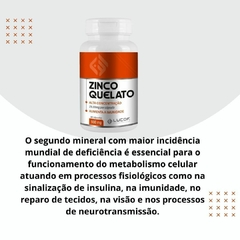 2 POTES ZINCO Quelato 60 cápsulas 600 mg na internet