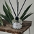 Difusor de Aroma Lis 250ml - comprar online