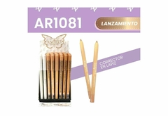 LAPIZ CORRECTOR AR