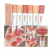 Labial FAMOTY 6 Colores