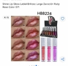 Labial Shine Hb8224, Ruby Rose