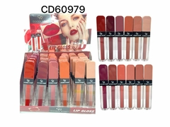 Labial líquido Qoiden Rose CD60979