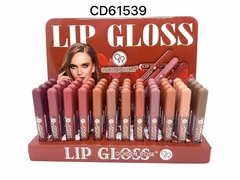 Lip gloss QR Qoiden Rose CD61539