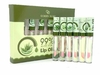 Lip oil Qoinden Rose Aloe 6pcs