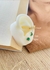TOPOS EN SET COVERGOLD REF.644-44