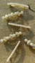 ACCESORIOS COVERGOLD