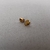 Topos Brotes Minis - tienda online