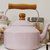 Chaleira Tradicional Rosa Bebê Lisa N°16 2,2 L na internet