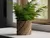 Maceta Ondulada para Plantas
