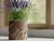 Maceta para plantas ondulada en internet