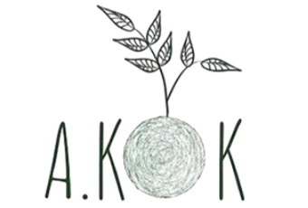 A.Kok