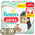 PAMPERS PANTS Premium Care XG x 26 - comprar online