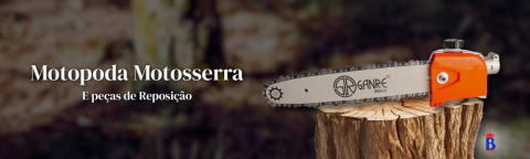 Carrossel 1