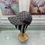 Boné Gucci Jacquard Canvas Web Bicolor - SOGLASS