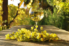 Banner da categoria Vinhos Brancos