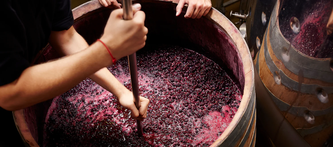 Carrusel Todo Vino