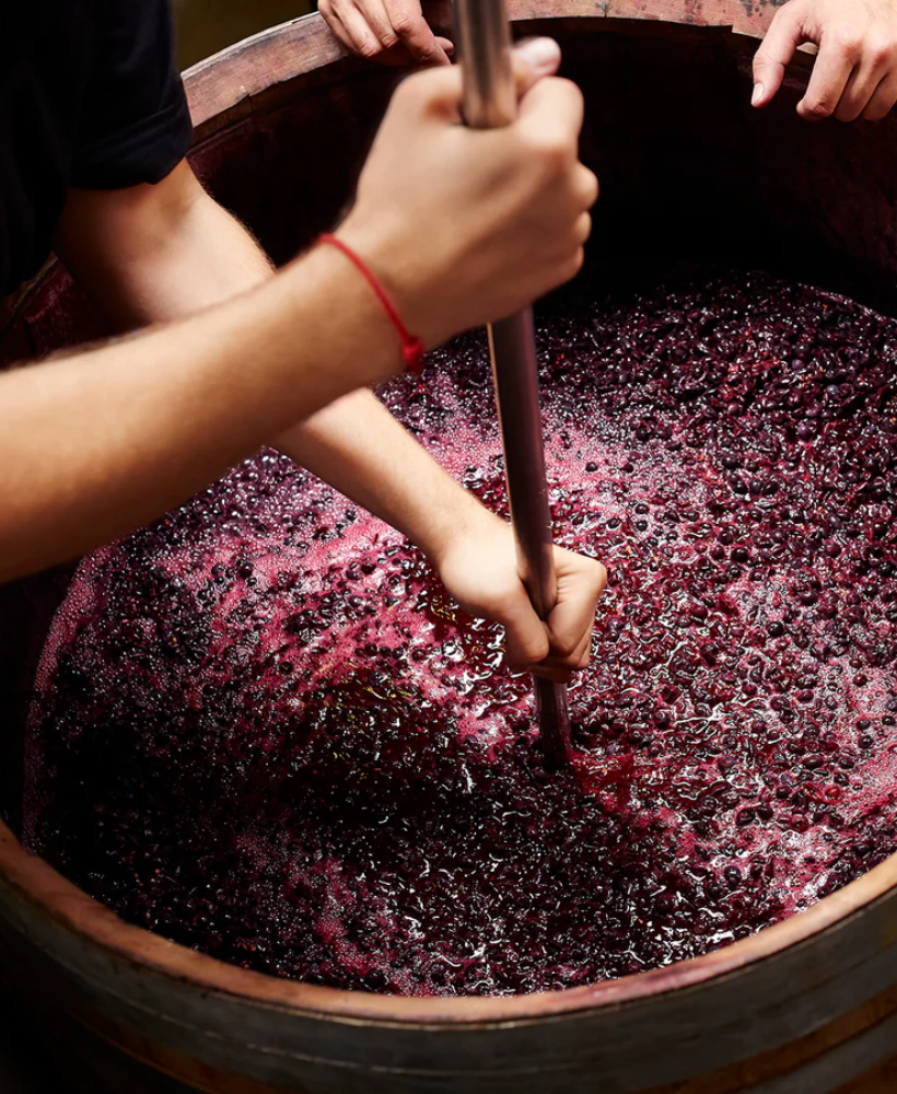Carrusel Todo Vino