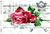 Transfer A3C 13 - comprar online