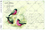 Transfer A3C 24 - comprar online