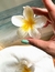 Broche Hawai - comprar online
