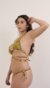 Top Brasilidade