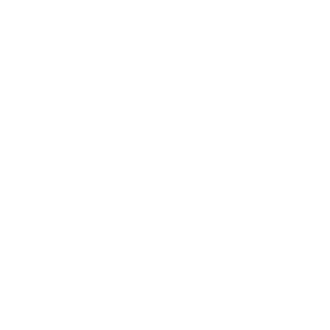 ViVest Store