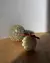 Esfera Espiral