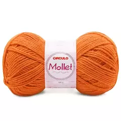 Imagem do FIO MOLLET CIRCULO 100g