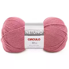 Imagem do FIO NETUNO CIRCULO 100g