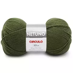 FIO NETUNO CIRCULO 100g - Loja Dominó