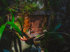 Kit Puerta mágica de Yule DIY en internet