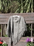 Art. 23 - Chal Lana Gris en internet