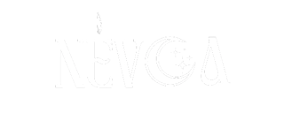 Névoa
