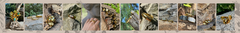 Banner de la categoría Anillos