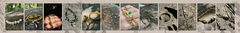 Banner de la categoría Pulseras