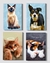 Poster Arte Pet Personalizado Canvas A4 Retrato 21 x 29,7 cm Tamanho M na internet