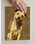 Poster Arte Pet Personalizado Canvas A4 Retrato 21 x 29,7 cm Tamanho M - loja online