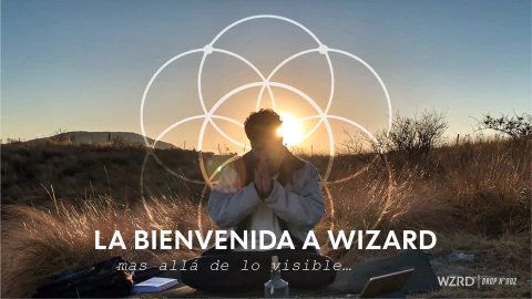 Video de Wizard cmpny
