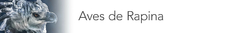 Banner da categoria Aves de rapina