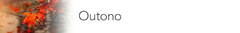 Banner da categoria Outono