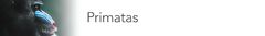Banner da categoria Primatas