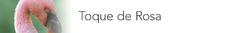 Banner da categoria Toque de Rosa