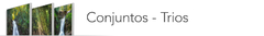 Banner da categoria Trios