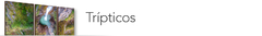 Banner da categoria Trípticos (triplos)